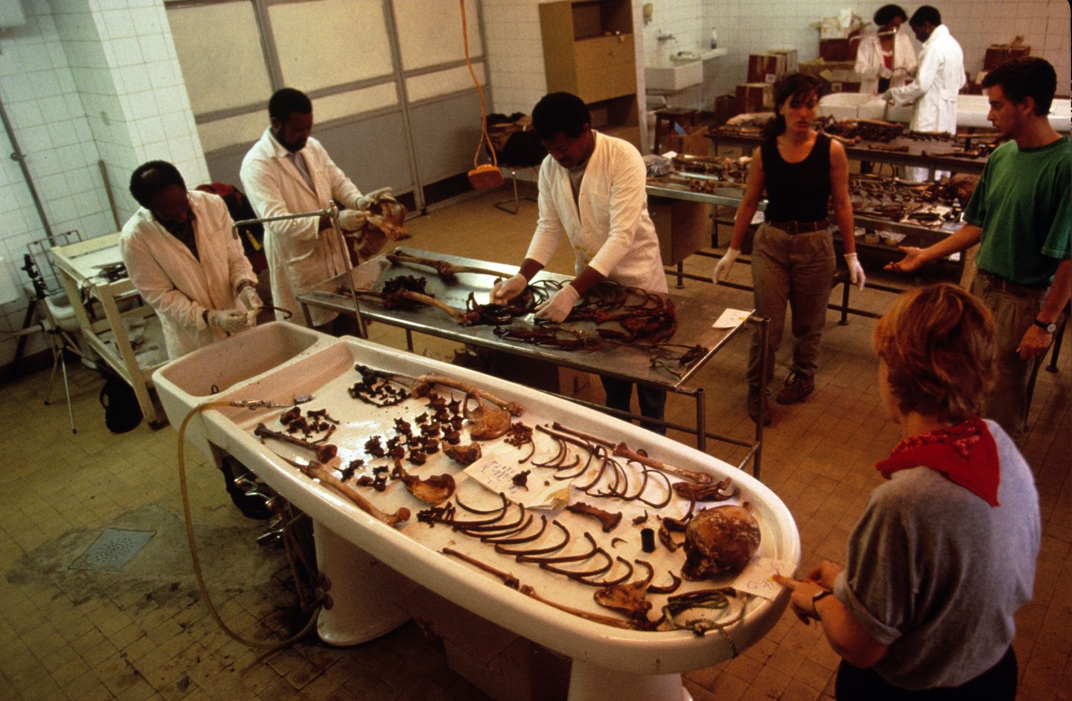 forensic anthropology research definition